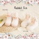 Rabbit Fur Sock