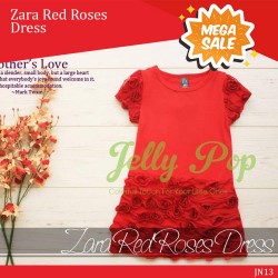 Zara Red Roses Dress