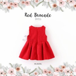 Red Brocade Dress
