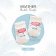 Weather Ankle Sock